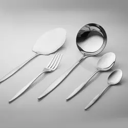 سرویس قاشق و چنگال 20 پارچه هومیت مدل کارن مات