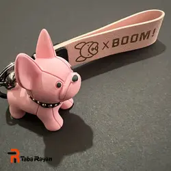 جاسوئیچی سیلیکونی فانتزی | تیدا تابا رایان