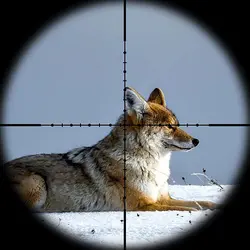 دوربين تفنگ تي ايگل R 4-16X44 AOE