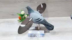 ماکت کبوتر چاهی بالزن مخملی