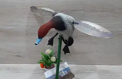 ماکت مرغابی مخملی بالزن ماده سر حنایی