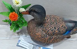 ماکت شناور مرغابی ماده صادراتی