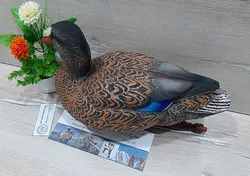 ماکت شناور مرغابی ماده صادراتی