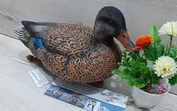 ماکت شناور مرغابی ماده صادراتی