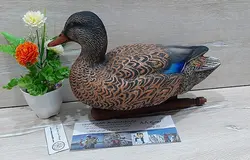 ماکت شناور مرغابی ماده صادراتی