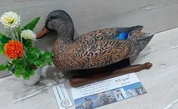 ماکت شناور مرغابی ماده صادراتی