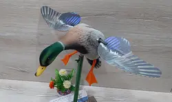 ماکت مرغابی مخملی بالزن سرسبز