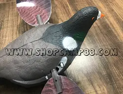 ماکت فاخته(کبوتر جنگلی) بالزن