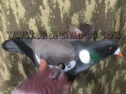 ماکت فاخته(کبوتر جنگلی) بالزن