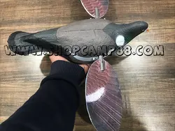 ماکت فاخته(کبوتر جنگلی) بالزن