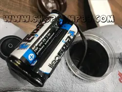 ماکت فاخته(کبوتر جنگلی) بالزن