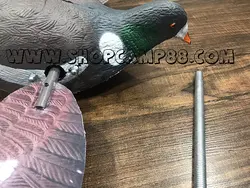 ماکت فاخته(کبوتر جنگلی) بالزن