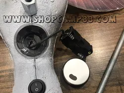 ماکت فاخته(کبوتر جنگلی) بالزن