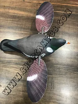 ماکت فاخته(کبوتر جنگلی) بالزن