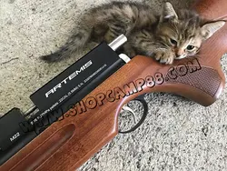 تفنگ پی سی پی آرتمیس مدل M22