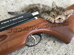 تفنگ پی سی پی آرتمیس مدل M22