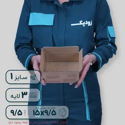 کارتن پستی سایز یک طرح ایران پست