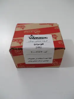 فلوسوئیچ ونزیا