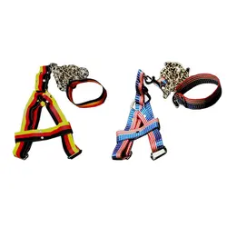 قلاده کتفی نوار 2 سانت همراه لید 110 سانتی زنجیر و قفل کوهنوردی