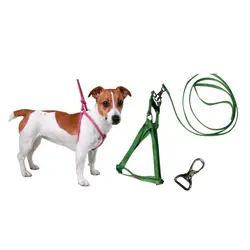 قلاده کتفی سایز 1 با نوار 1 سانتی همراه لید 140 سانتی