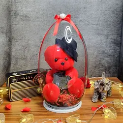 عروسک خرس قرمز کلاه دار خارجی با باکس شیشه ای - فروشگاه اینترنتی پزبده