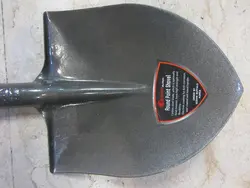 بیل بوفالو کره نمره 3