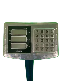 باسکول دامکش 300 کیلویی Mahak