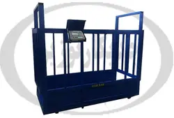 باسکول دامکش