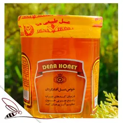 عسل آفتابگردان ، خرید عسل آفتاب گردان با کیفیت - عسل دنا