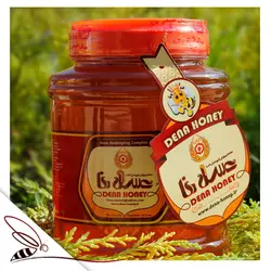 خرید عسل بهاره با کیفیت درجه یک ، قیمت عسل بهاره ، 03145248888