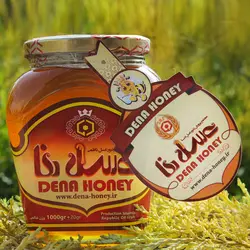 عسل پرورش ملکه ، خرید بهترین عسل ملکه از زنبورداری در اصفهان