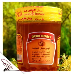 خرید عسل شوید با قیمت مناسب و کیفیت بالا ، 100% تضمینی ،عسل دنا
