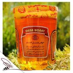 عسل قامشلو ، خرید عسل قمشلو ،❤مجموعه پرورش زنبور دنا 03145248888