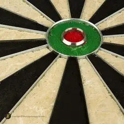 تخته دارت سوزنی پرو اسپرتز 18اینچ بریستل 2016 تیغه ای BRS | مشکی | پهلوان شاپ