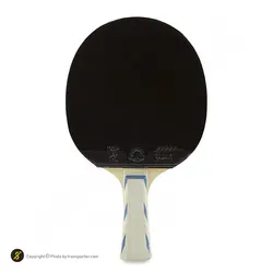 راکت پینگ پنگ فرند شیپ 729 12ستاره با کاور CPT | دسته FL | پهلوان شاپ