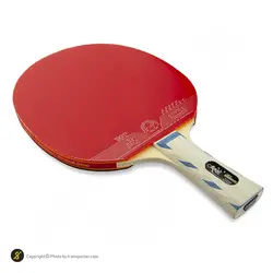 راکت پینگ پنگ فرند شیپ 729 12ستاره با کاور CPT | دسته FL | پهلوان شاپ