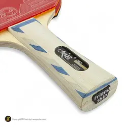 راکت پینگ پنگ فرند شیپ 729 12ستاره با کاور CPT | دسته FL | پهلوان شاپ