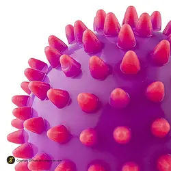 توپ بدنسازی ماساژ بال گلدن استار 7سانتیمتری Medium | بنفش/صورتی | پهلوان شاپ