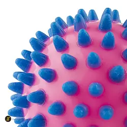 توپ بدنسازی ماساژ بال گلدن استار 7سانتیمتری Medium | صورتی/آبی | پهلوان شاپ