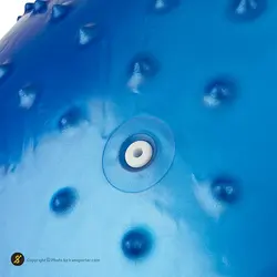 توپ بدنسازی سوییسی جیم بال فیزیوبال آجدار گلدن استار 75 سانتیمتری | آبی | پهلوان شاپ