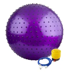 توپ بدنسازی سوییسی جیم بال فیزیوبال آجدار گلدن استار 75 سانتیمتری | بنفش | پهلوان شاپ