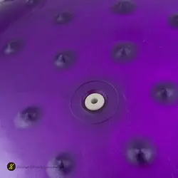 توپ بدنسازی سوییسی جیم بال فیزیوبال آجدار گلدن استار 75 سانتیمتری | بنفش | پهلوان شاپ