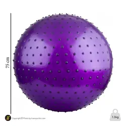 توپ بدنسازی سوییسی جیم بال فیزیوبال آجدار گلدن استار 75 سانتیمتری | بنفش | پهلوان شاپ