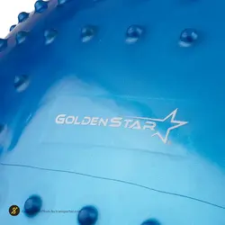 توپ بدنسازی سوییسی جیم بال فیزیوبال آجدار گلدن استار 85 سانتیمتری | آبی | پهلوان شاپ