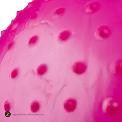 توپ بدنسازی سوییسی جیم بال فیزیوبال آجدار گلدن استار 75 سانتیمتری | صورتی | پهلوان شاپ