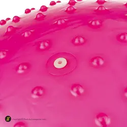 توپ بدنسازی سوییسی جیم بال فیزیوبال آجدار گلدن استار 85 سانتیمتری | صورتی | پهلوان شاپ