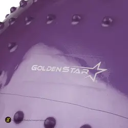 توپ بدنسازی سوییسی جیم بال فیزیوبال آجدار گلدن استار 85 سانتیمتری | بنفش | پهلوان شاپ