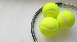 توپ تنیس کد 2087 | پهلوان شاپ