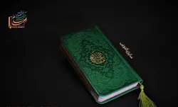 خرید منتخب مفاتیح پالتویی رنگی( سبز پررنگ) - فرهنگ 24