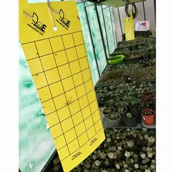 کارت جذب کننده حشرات مدل YC100 | خرید چسب حشره کش | فروشگاه آنلاین سام شاپ